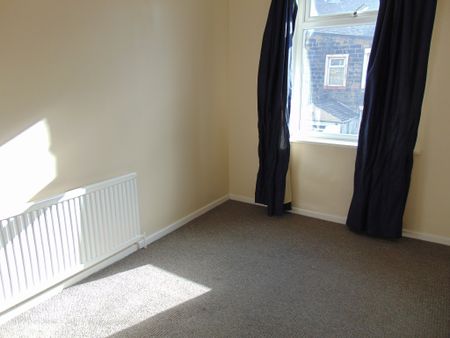 Basil Street - Photo 3