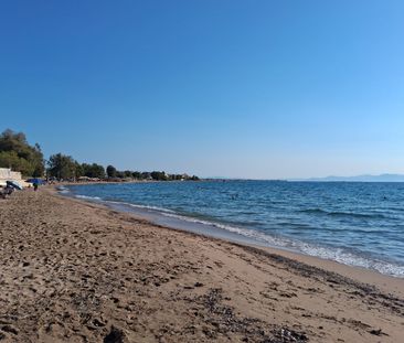 Μεζονέτα για ενοικίαση Βραυρώνα (Αρτέμιδα (Λούτσα)) - Photo 4