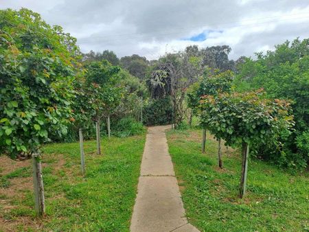 10 ACRES + HOUSE MINUTES TO TOWN - Photo 3