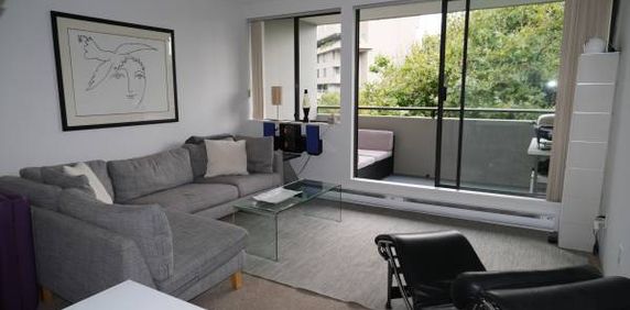 One Bedroom Apartment for Rent Next to Seawall - Photo 2