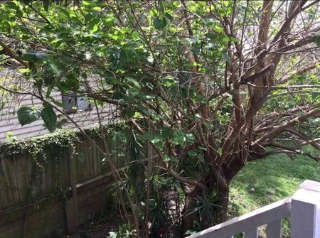 Highgate Hill - Photo 5