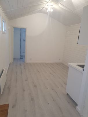 Vitrotsvägen, Bro - Photo 1