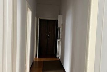 Via Sofia Bisi Albini, Milan, Lombardy 20125