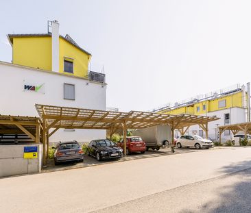 Wohnung in Sierndorf - Photo 3