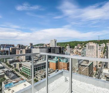 1239 Rue Drummond - Photo 4