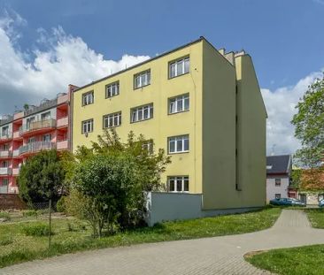 Pronájem, byt 1+kk, Lipník nad Bečvou, ul. Osecká - Fotografie 5