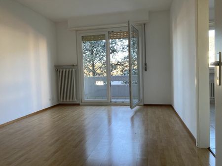 Apartment - Photo 3