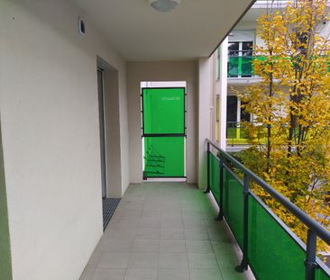 Appartement - 2 pièces - Jardin Lecoq/Facultés - Photo 1