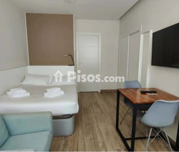 Estudio en alquiler en Paseo de la Castellana - Foto 5