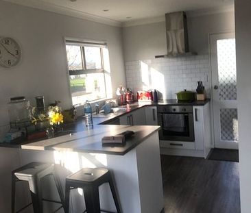 Small Home seeking professional person or couple - Photo 3