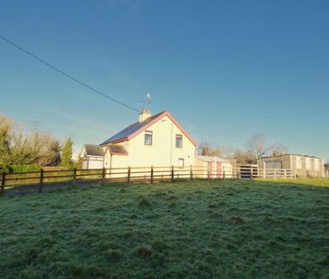 229 Vow Road, Ballymoney, BT44 8TB - Photo 6