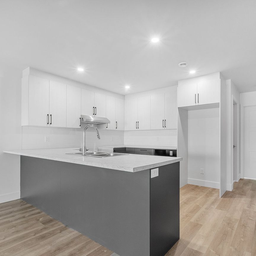 Appartement à Montréal (Mercier/Hochelaga-Maisonneuve) - Photo 1