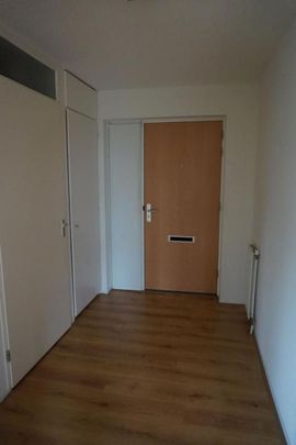 Roggekamp 2592 VT 's-Gravenhage - Photo 1