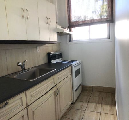 For Lease - 1272 Danforth Avenue Unit# Main, Toronto, Ontario - Photo 5