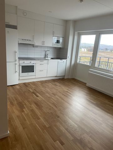 Valhallavägen, Laholm - Foto 2