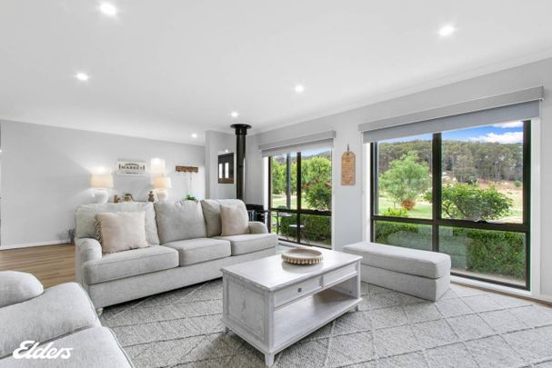 Rare rental opportunity - Photo 1