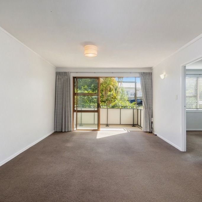 North facing in a great Mt Eden location - Photo 1