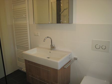 Rüdesheim: Moderne 2 ZKB mit Terrasse, EBK & neuem TL-Bad mit begehbarer Dusche, TG inklusive - Foto 4