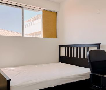 12 Toms Court, Adelaide - Photo 3