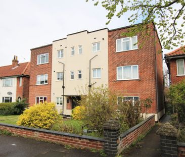 Patricia Road, Norwich - Photo 6