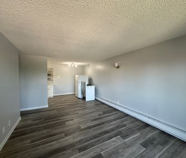 Modern and Spacious 2-Bedroom Apartment - SMALL PET FRIENDLY! - Photo 3