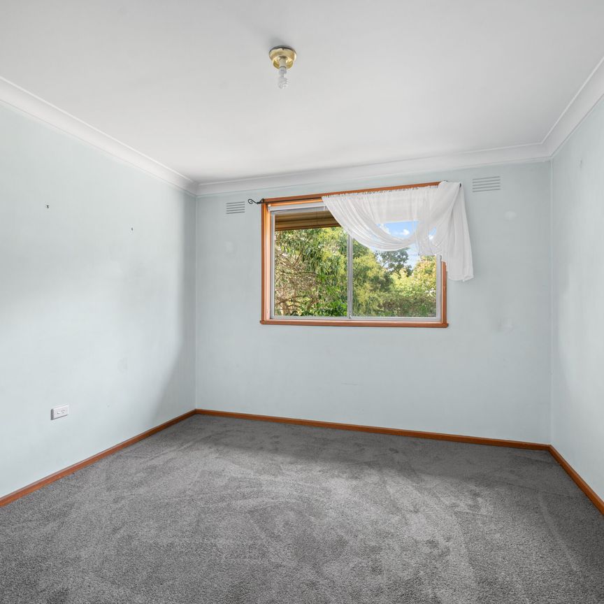 115 Simkin Crescent, Kooringal NSW 2650 - Photo 1