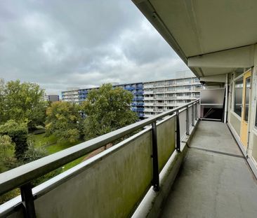 Schipmolen 59, Molenwijk, 1035CH, Amsterdam - Photo 3