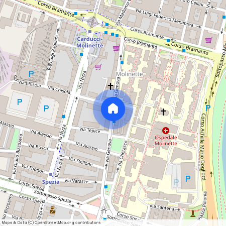 Via Genova, Turin, Piedmont 10126