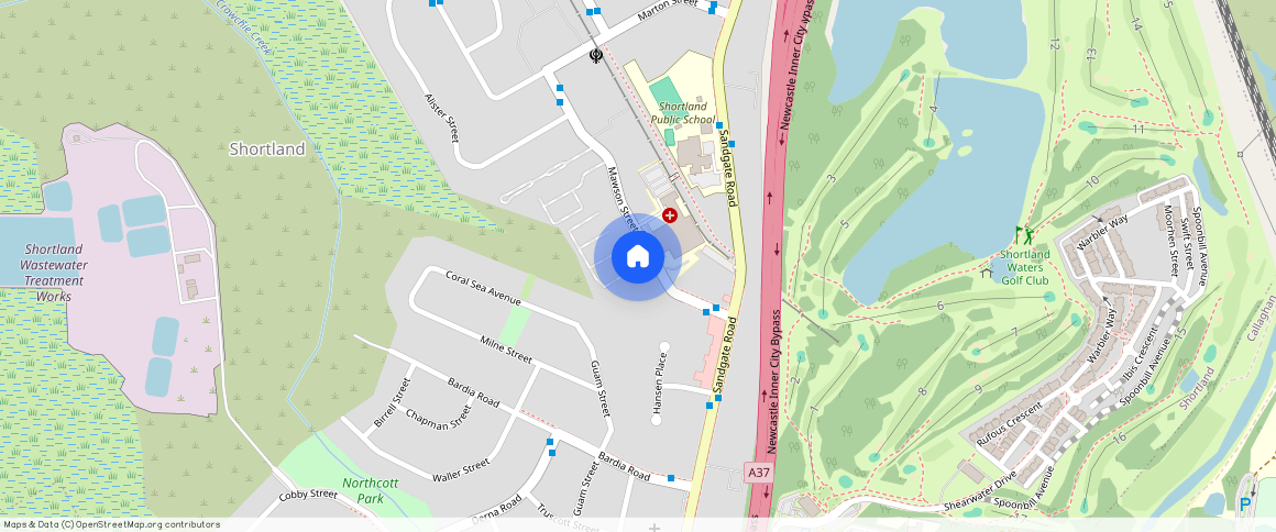 ** Mawson Street, NSW 2307, Shortland