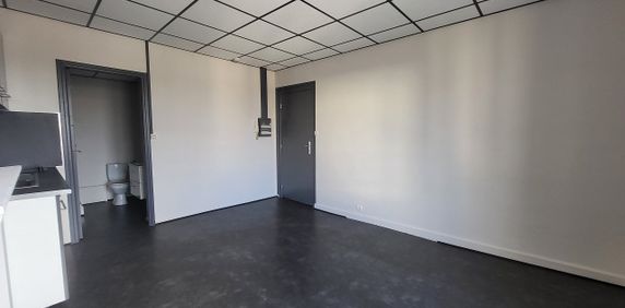 Location Appartement 1 pièce 20m² - Photo 2