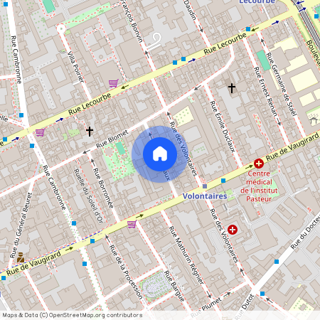 rue Copreaux, 75015, Paris