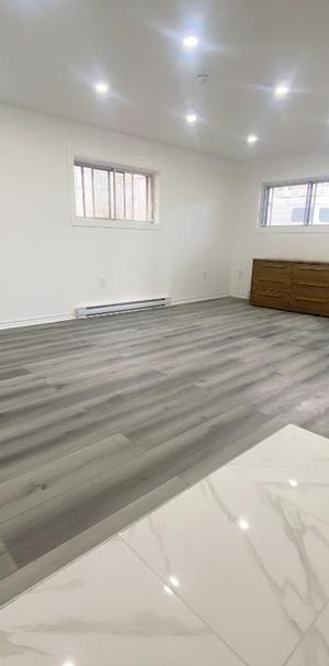 5 1/2 entièrement rénové à St-Léonard Semi sous-sol de triplex - Photo 1