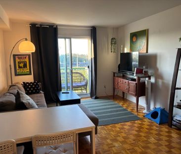 Appartement 3 1/2 à louer à Saint-Hubert - Photo 1