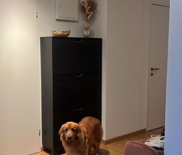 APPARTEMENT 21/2 PIÈCES À ZURICH - DISTRICT 11, MEUBLÉ, TEMPORAIRE - Photo 1