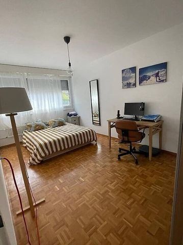 Reprise de bail – 4 pièces, Petit-Saconnex, Genève pour fin décembre - Foto 5