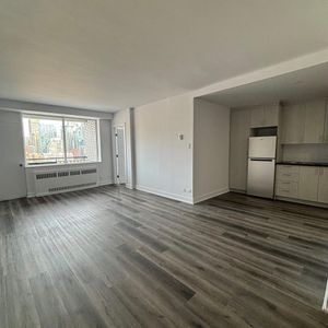 1 CH - 1 SDB - Montréal - $1,575 /mo - Photo 3