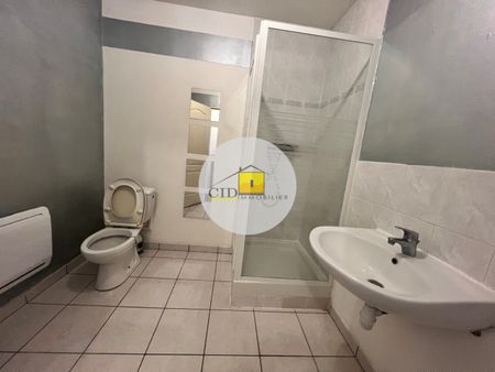 Location Appartement 3 pièces 58m² GRENAY 38540 - Photo 2