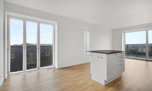 Skøn og lys 3-værelses lejlighed ved vandet med stor privat tagterrasse - Foto 1