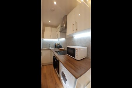 Studio Flat, Heathstan Road, W12 - Photo 5