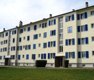 Chemin du Bois-Gentil 29, 1018 LAUSANNE | Appartement 2 pièces - Photo 1