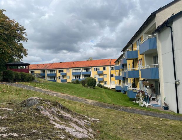 Svedjevägen, Överum - Photo 1