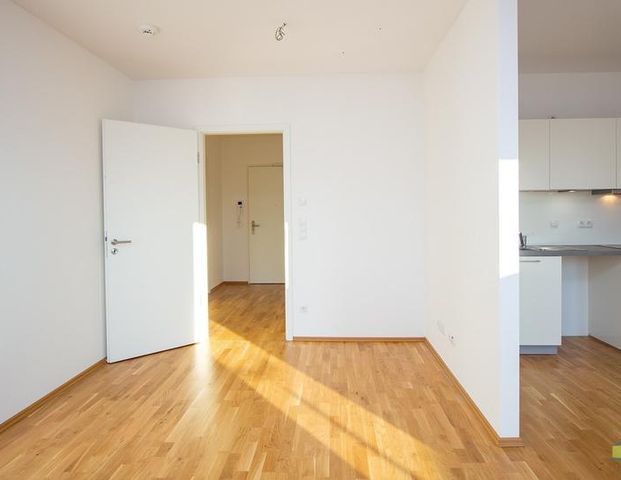 Wohnen in der Südvorstadt - EBK, Tiefgarage, elektr. Rollläden, Fußbodenheizung, Parkett ... - Photo 1