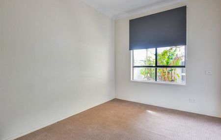 42A Byard Terrace, Mitchell Park SA 5043 - House For Rent - $750 | Domain - Photo 2