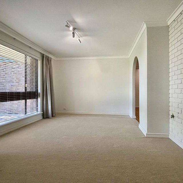 SO MUCH SPACE! - Photo 1