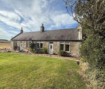 2 bedroom semi-detached house to rent - Photo 3