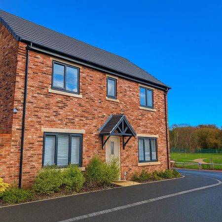 3 bedroom semi-detached house to rent - Photo 2