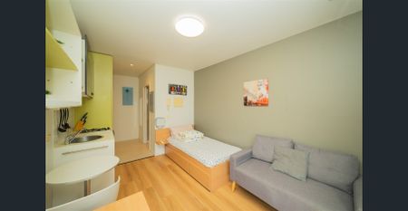 Large Corner Studio Next to RMIT and University of Melbourne - Photo 4