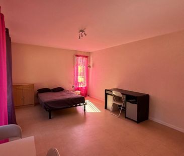 Location Appartement 1 pièce 34m² PRIVAS 07000 - Photo 2