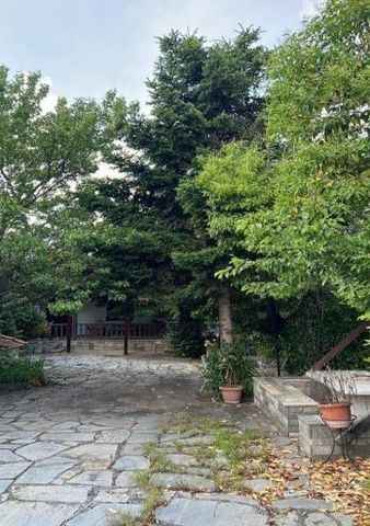 Μονοκατοικία για ενοικίαση Λευκοχώρι (Λαχανάς) - Photo 5