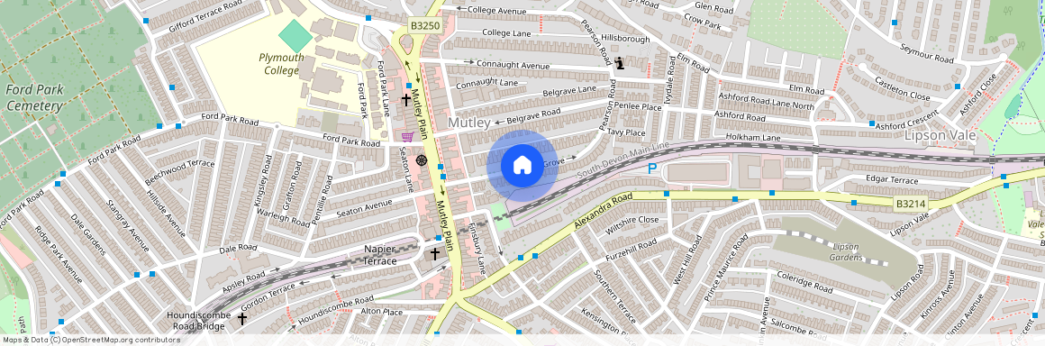 Lisson Grove, Plymouth